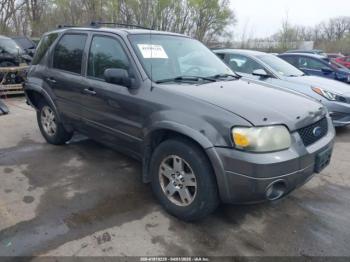  Salvage Ford Escape