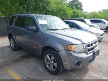  Salvage Ford Escape