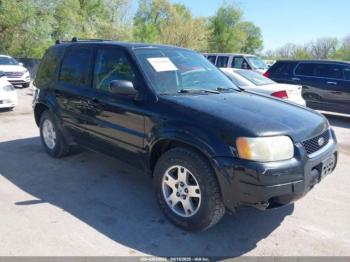  Salvage Ford Escape