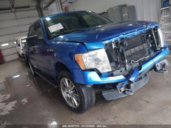  Salvage Ford F-150