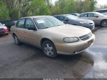  Salvage Chevrolet Classic