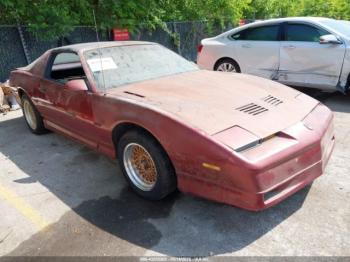  Salvage Pontiac Firebird
