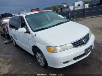  Salvage Honda Odyssey