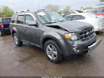  Salvage Ford Escape
