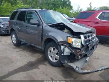  Salvage Ford Escape