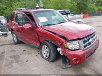  Salvage Ford Escape