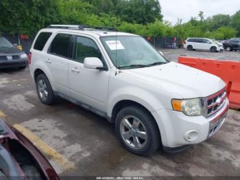  Salvage Ford Escape