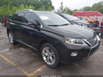  Salvage Lexus RX