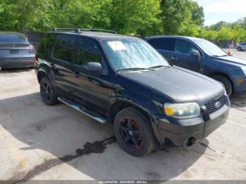  Salvage Ford Escape