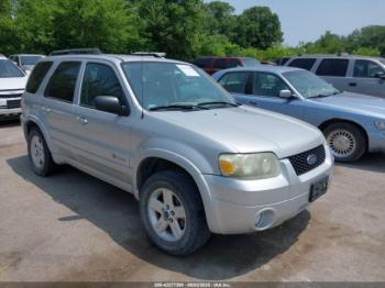  Salvage Ford Escape