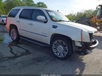  Salvage Cadillac Escalade
