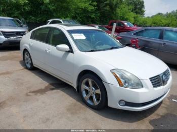  Salvage Nissan Maxima