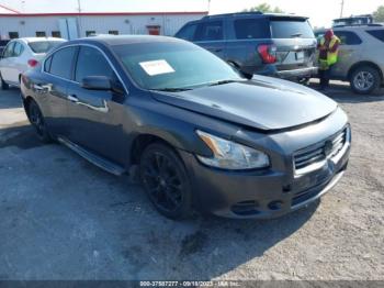  Salvage Nissan Maxima