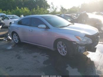  Salvage Nissan Maxima