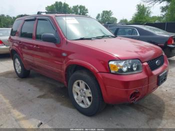  Salvage Ford Escape