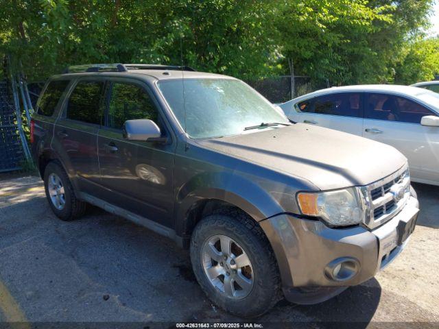  Salvage Ford Escape