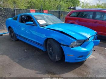  Salvage Ford Mustang