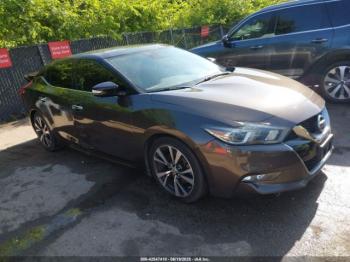  Salvage Nissan Maxima