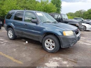  Salvage Ford Escape