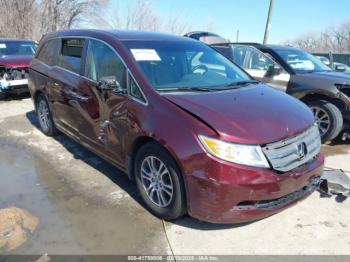  Salvage Honda Odyssey