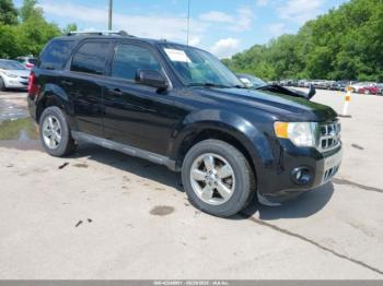  Salvage Ford Escape
