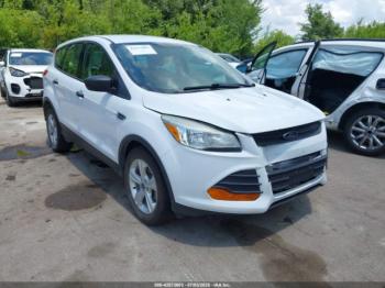  Salvage Ford Escape