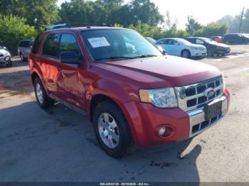  Salvage Ford Escape