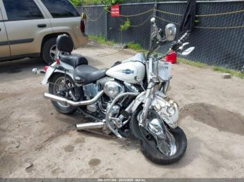  Salvage Harley-Davidson Flstci