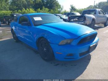  Salvage Ford Mustang
