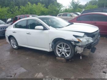  Salvage Nissan Maxima