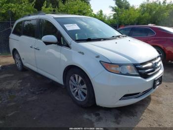 Salvage Honda Odyssey