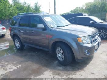  Salvage Ford Escape