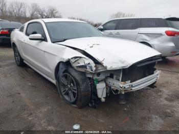  Salvage Ford Mustang