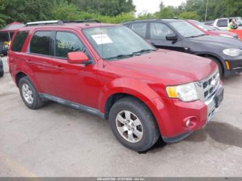  Salvage Ford Escape