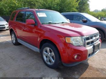  Salvage Ford Escape