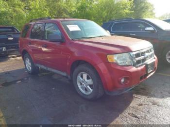  Salvage Ford Escape