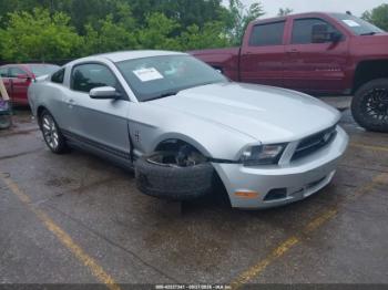  Salvage Ford Mustang