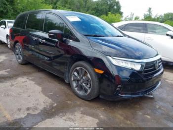 Salvage Honda Odyssey