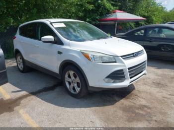  Salvage Ford Escape