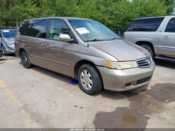  Salvage Honda Odyssey