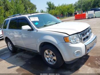  Salvage Ford Escape