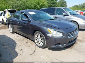  Salvage Nissan Maxima