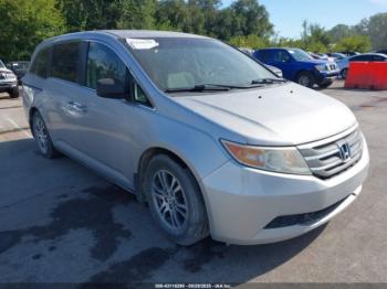  Salvage Honda Odyssey