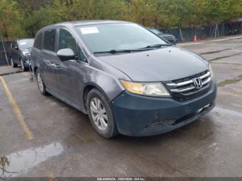  Salvage Honda Odyssey