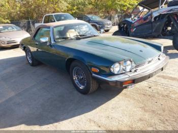  Salvage Jaguar Xjs