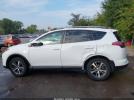 Toyota RAV4 Xle Image 4