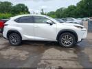 Lexus NX Image 10