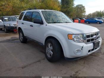  Salvage Ford Escape