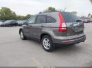 Honda CR-V Ex-l Image 6