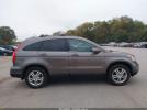 Honda CR-V Ex-l Image 13